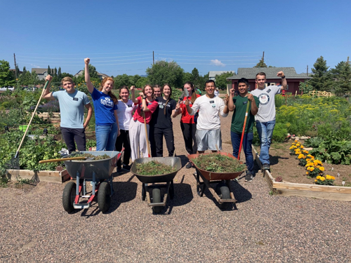 Local Community Garden's Volunteer Drive